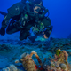 Illustration for article titled Dozens of Cool Artifacts Recovered From the Antikythera Shipwreck